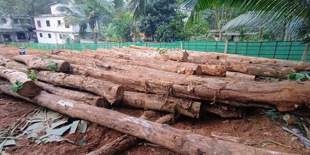 gallery gallery-image