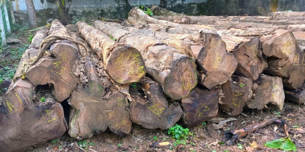 gallery gallery-image