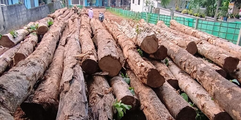 gallery gallery-image