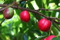 gallery gallery-image