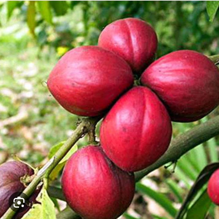 gallery gallery-image