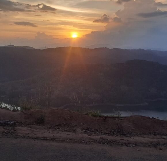 gallery gallery-image