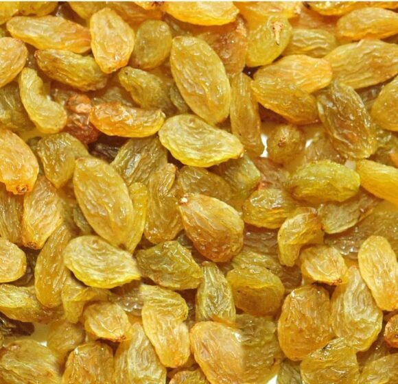 gallery gallery-image