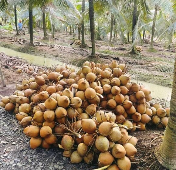 gallery gallery-image