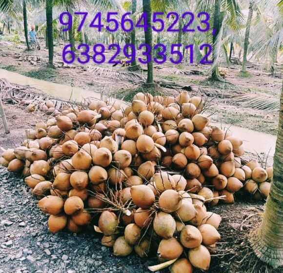 gallery gallery-image