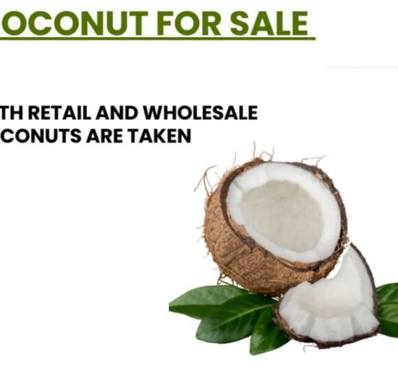 gallery gallery-image