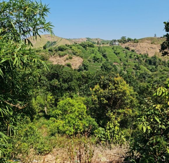 gallery gallery-image