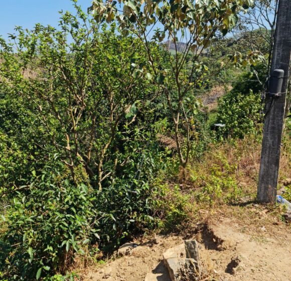 gallery gallery-image