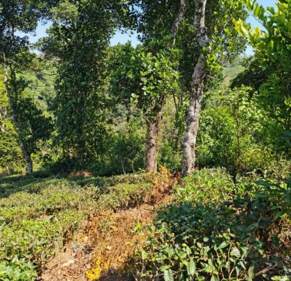 gallery gallery-image