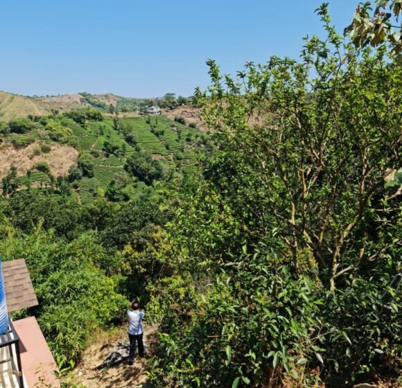 gallery gallery-image