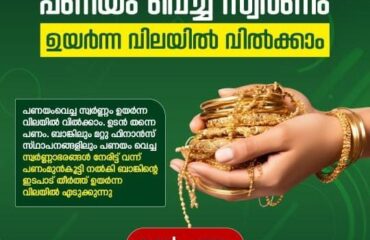 WhatsApp-Image-2025-02-22-at-2.28.01-PM