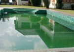IMG_20241206_102938