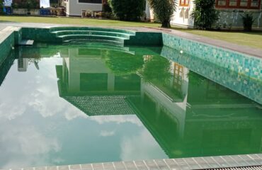 IMG_20241206_102938